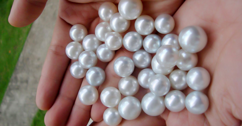 Sea Pearls